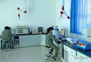 聚酯公司榮獲自治區綠色工廠稱號 科技驅動綠色可持續發展之路